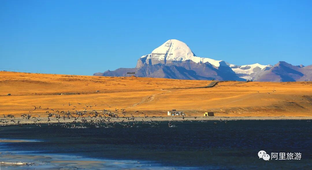 阿里！每一张都是高清壁纸！