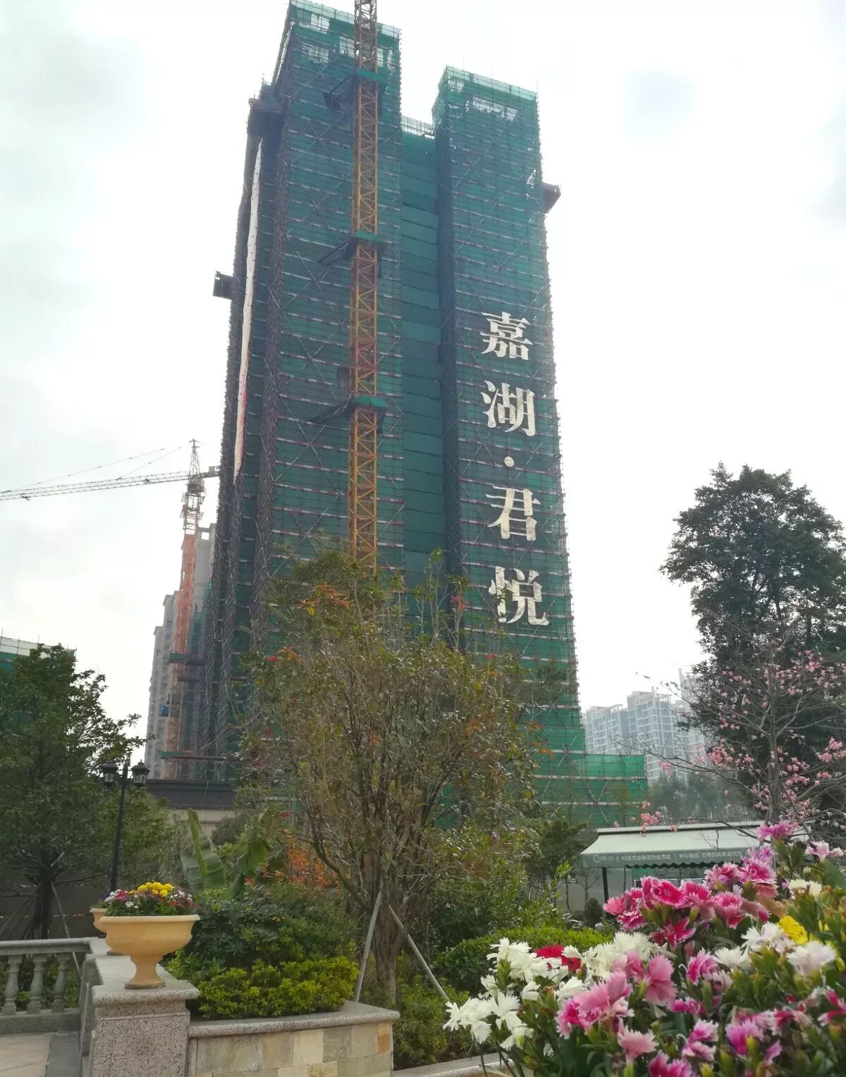 在嘉湖君悦,有个不能错过的约会
