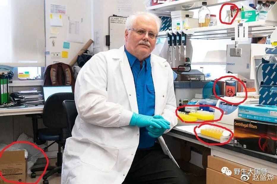 ���¹ڲ�����ԴŪ���