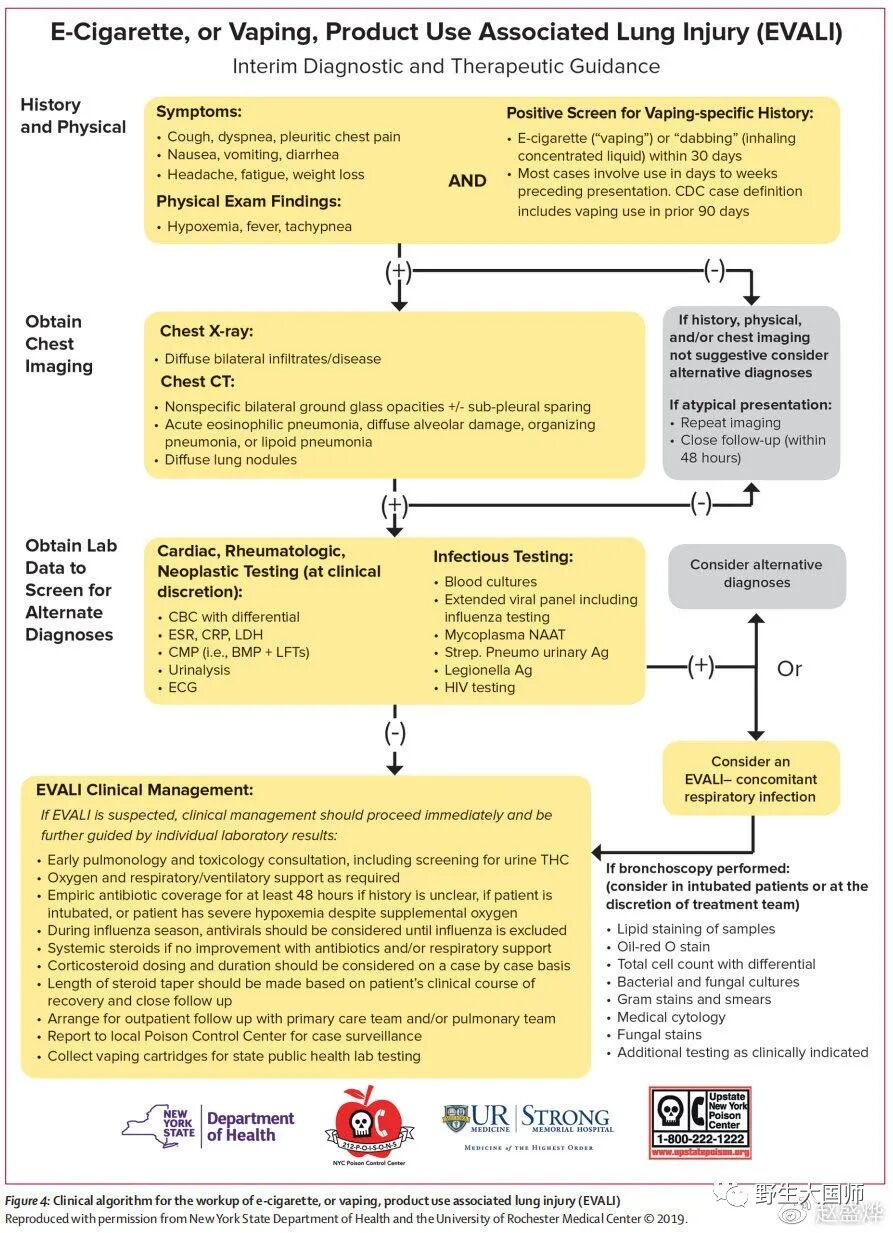 ���¹ڲ�����ԴŪ���