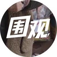 【全国粽子图鉴】咸甜大战再度上演？