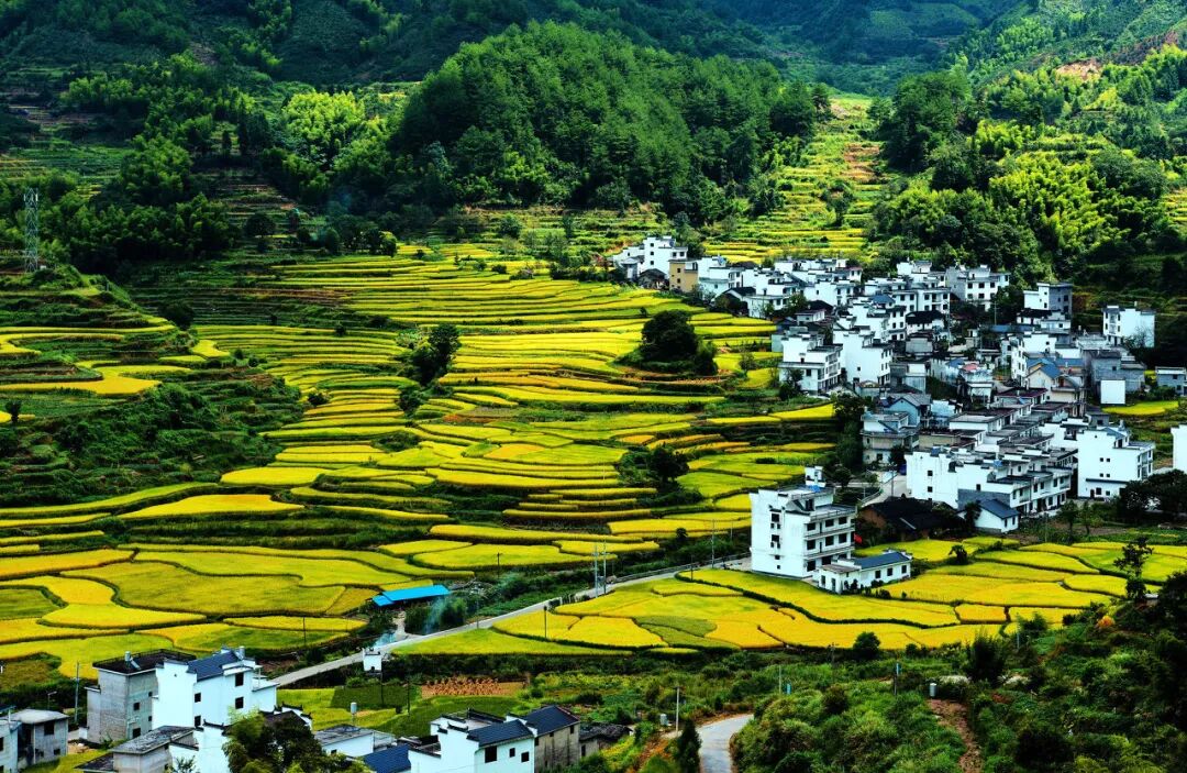 中国年度美丽乡村是这里看完都想走一遍