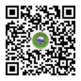 什么是vsd负压引流负压封闭引流技术丨VSD技术的使用_https://www.jmylbn.com_新闻资讯_第11张