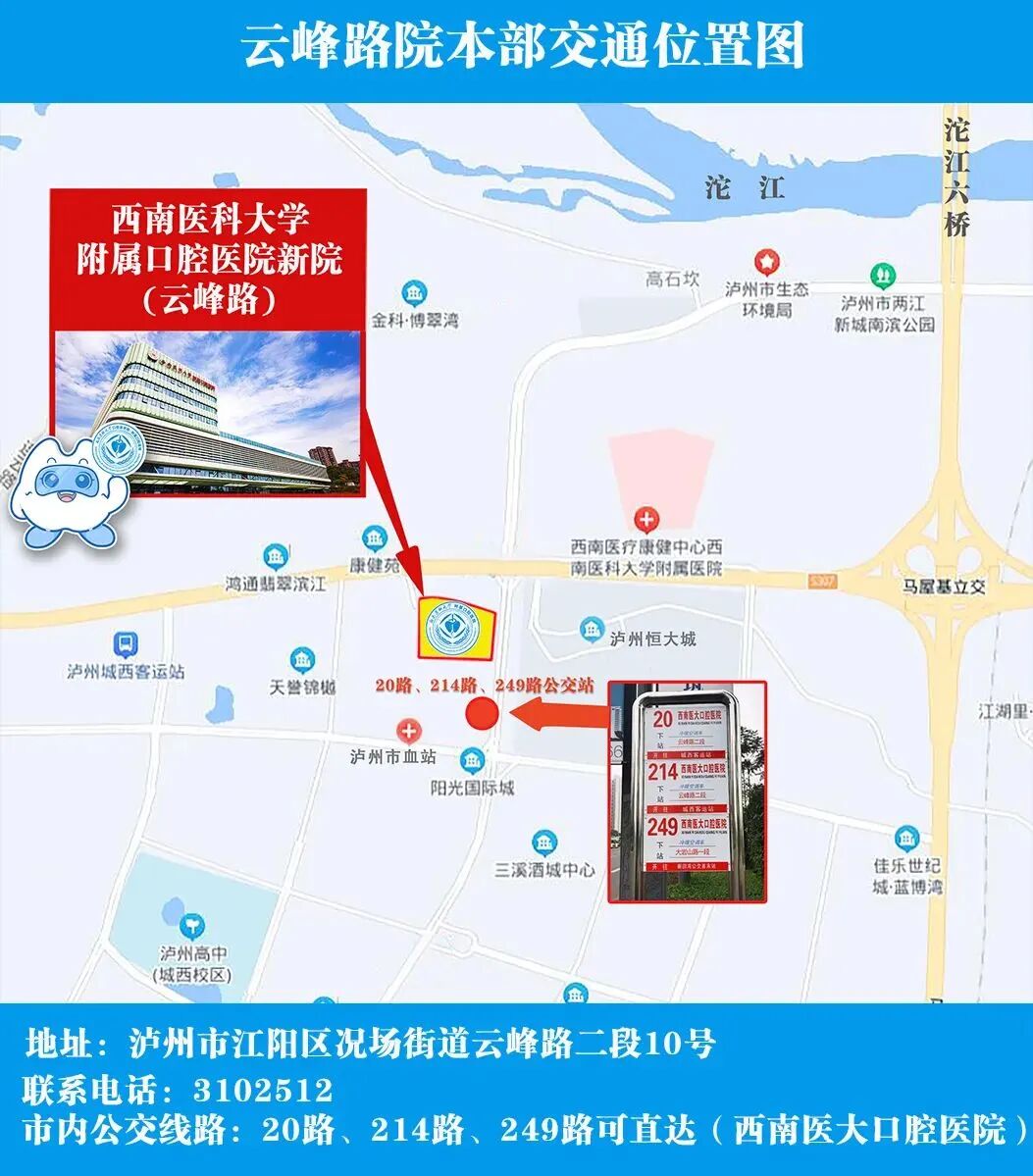 X光拍片为什么要等小朋友看牙为什么要拍片？_https://www.jmylbn.com_新闻资讯_第14张
