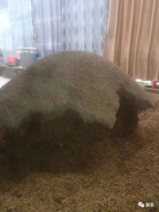 怎么修建糖化床新建的传统小作坊酒厂如何规划设计平面布局？_https://www.jmylbn.com_新闻资讯_第16张