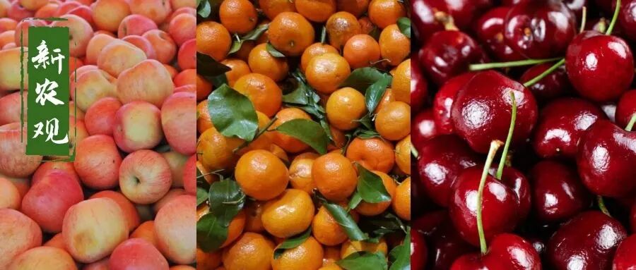 大落价 苹果走低 砂糖桔降价 车厘子 拦腰斩 吃水果也要自由了 热点讯息网