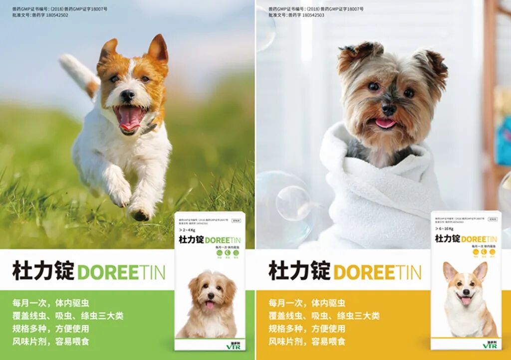 狗狗拉血便 除了细小 还有这些 病症 维宠宠物导航网