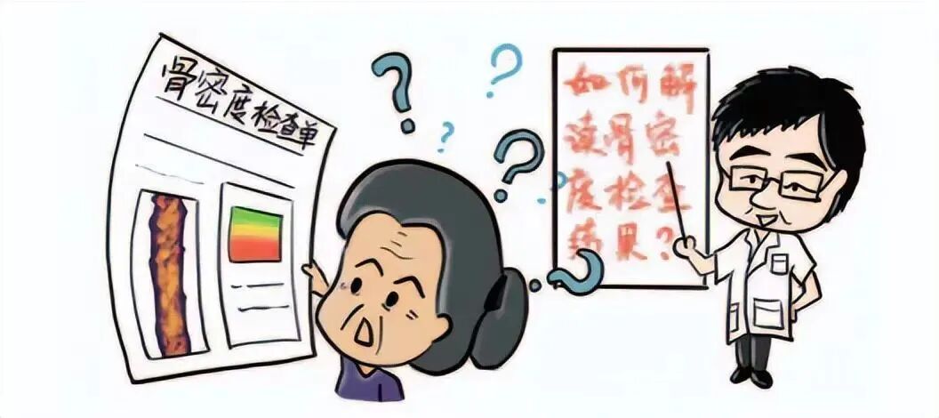 双能x骨密度检测仪为什么非得输入体重身高双能X射线检测骨密度仪，为您的健康加“骨”劲！_https://www.jmylbn.com_新闻资讯_第12张