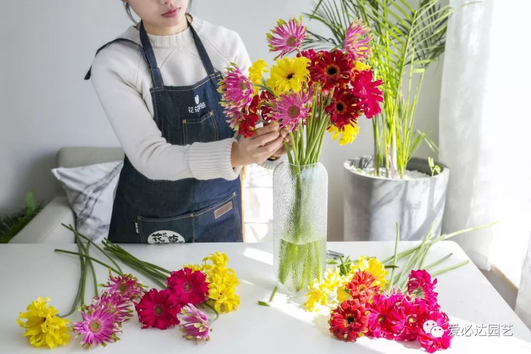 睡莲鲜花养护_鲜花养护_鲜花帝王花怎么养护