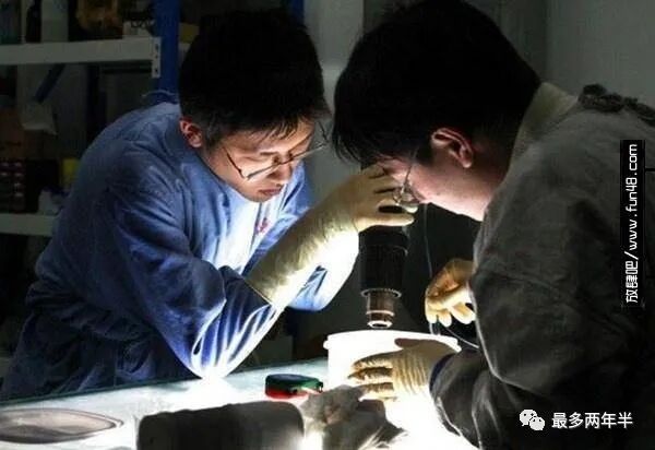 尸骨工厂_尸体工厂_死尸工厂