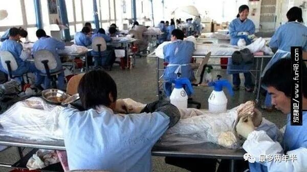 尸体工厂_死尸工厂_尸骨工厂