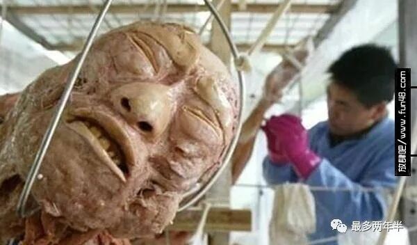 尸体工厂_尸骨工厂_死尸工厂