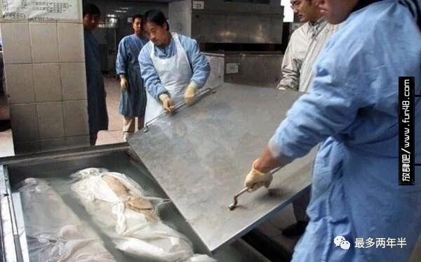 尸骨工厂_尸体工厂_死尸工厂