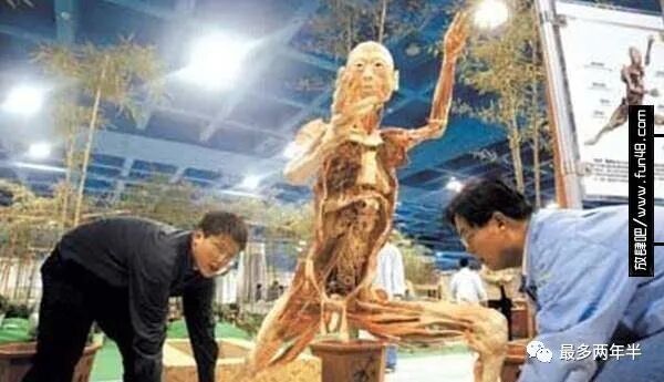 尸骨工厂_死尸工厂_尸体工厂