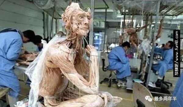 死尸工厂_尸体工厂_尸骨工厂