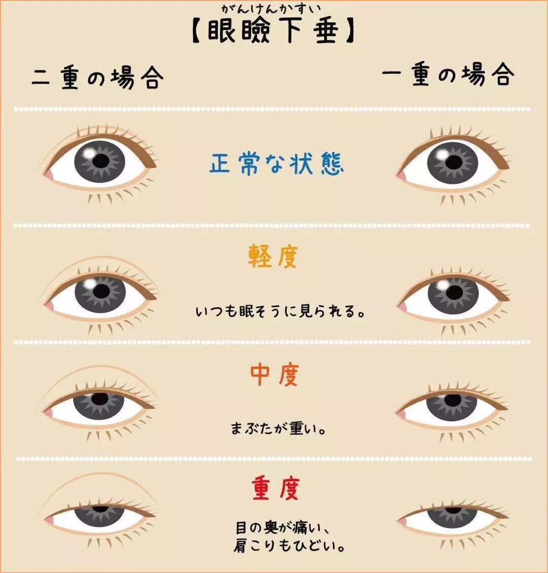 整天迷恋石原里美 北川景子 桥本环奈的颜 你们难道不腻吗 宜采主义 微信公众号文章阅读 Wemp