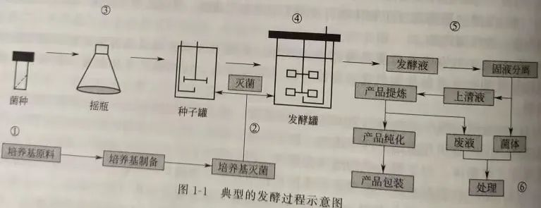 发酵工程工艺及关键技术的图1