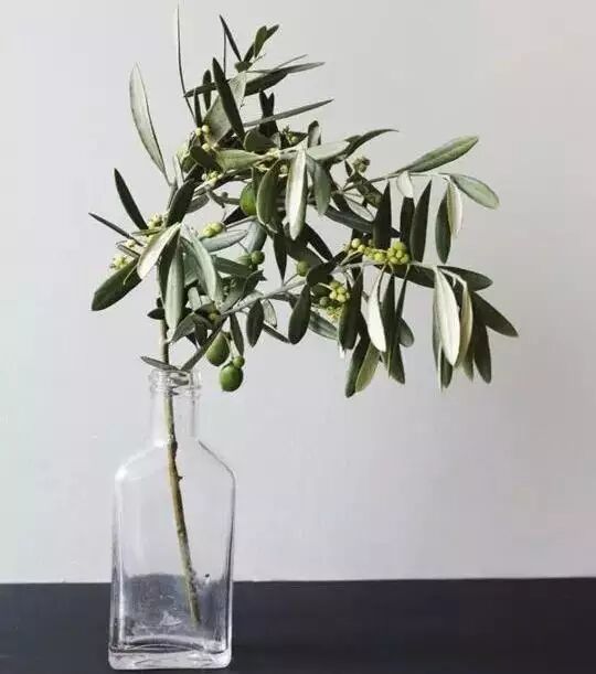 插花小技巧，10分钟换一个花香满屋！