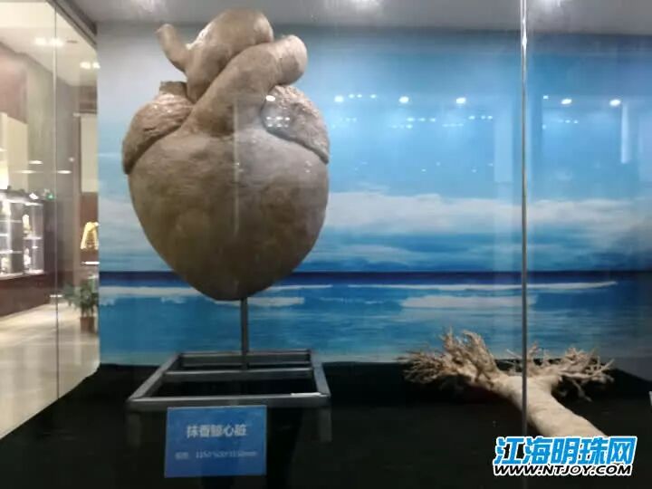 如东搁浅死亡的另一条抹香鲸何时和游客见面？先睹为快