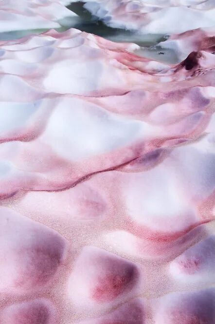 南极雪地变红闻起来还有甜甜的西瓜味科学家这下大事不好了