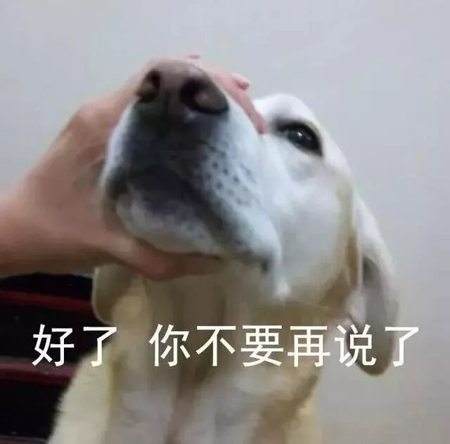 和3000亿富豪做朋友是什么体验？好基友：不知道，我有4000亿（组图） - 38