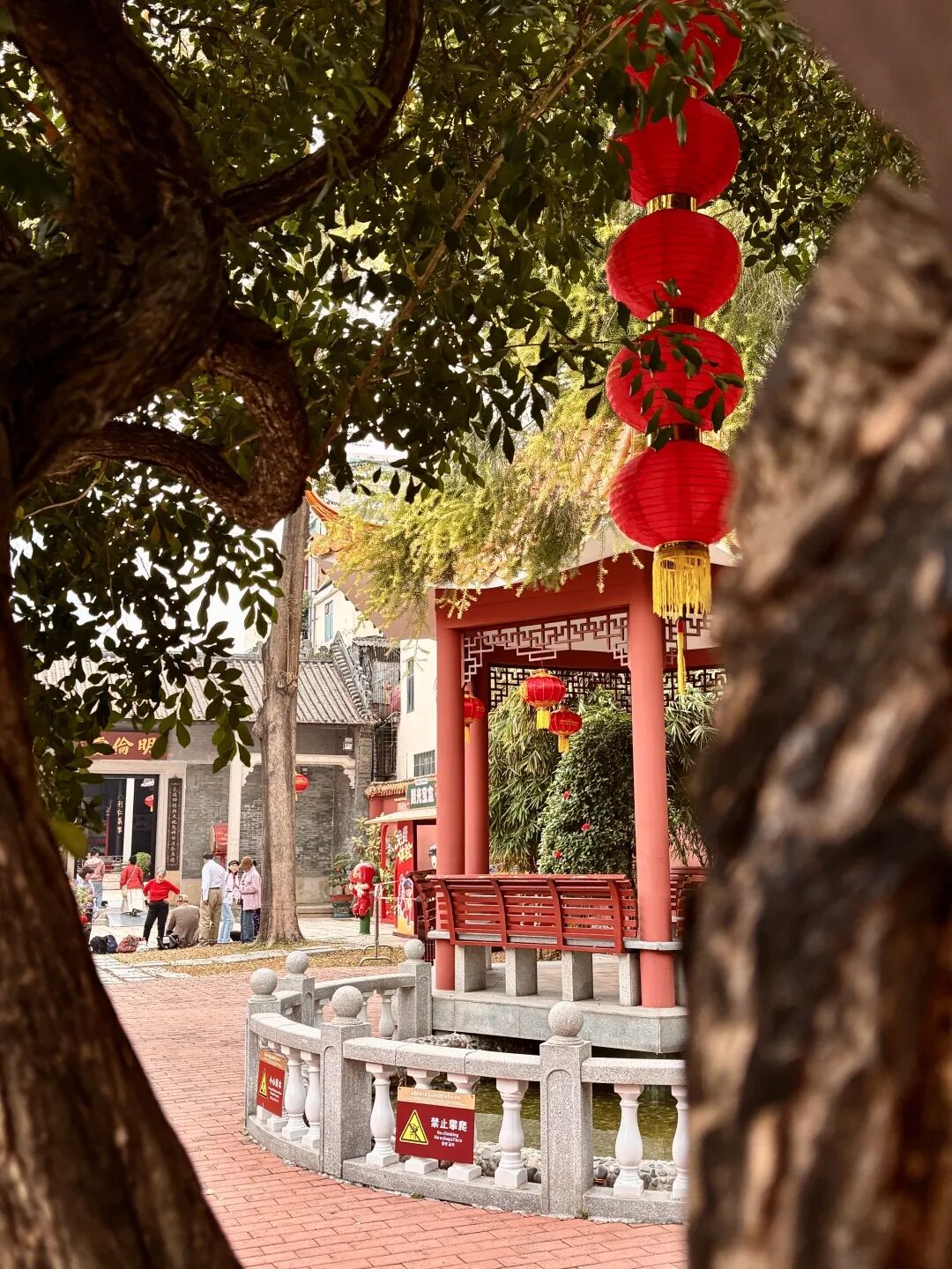 微信图片_2026-02-13_174243_580.jpg
