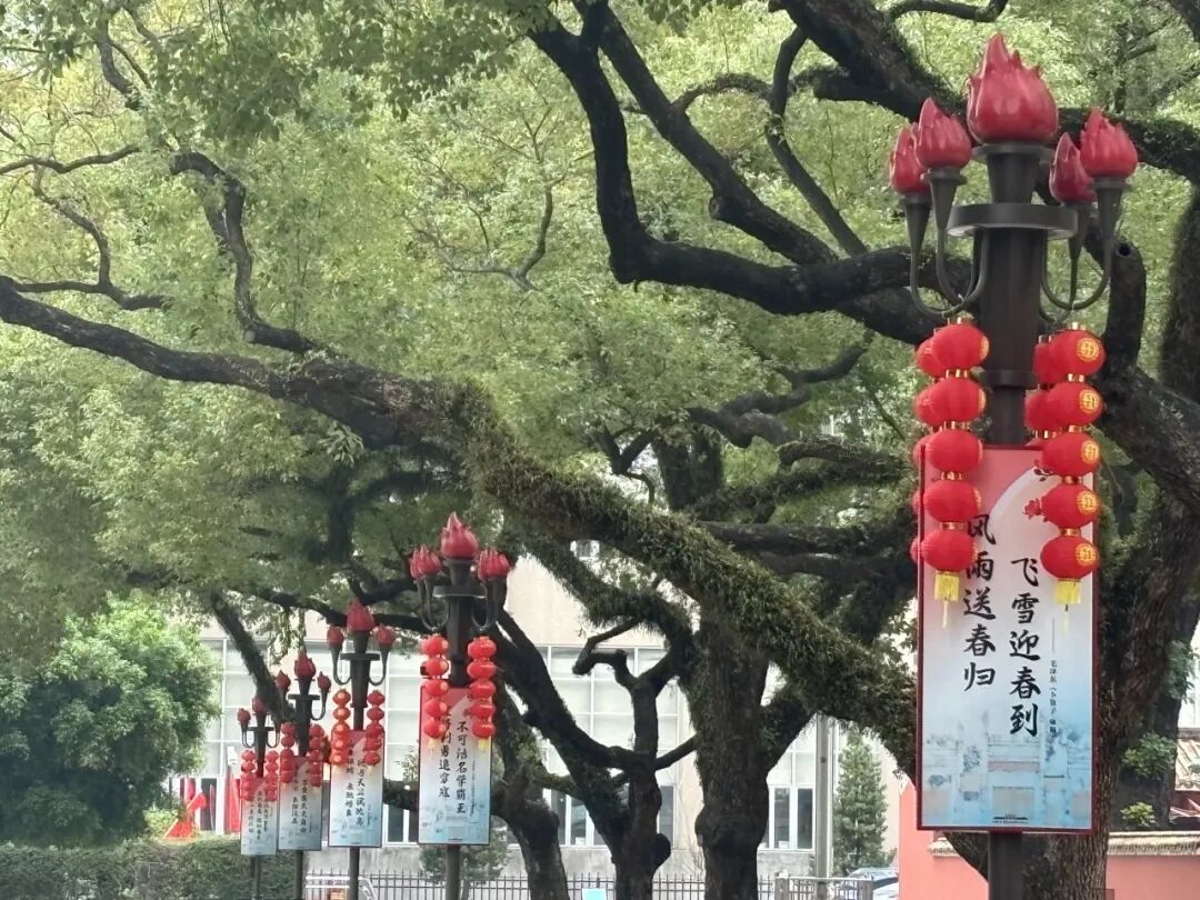 微信图片_20260212140816_166_68.jpg