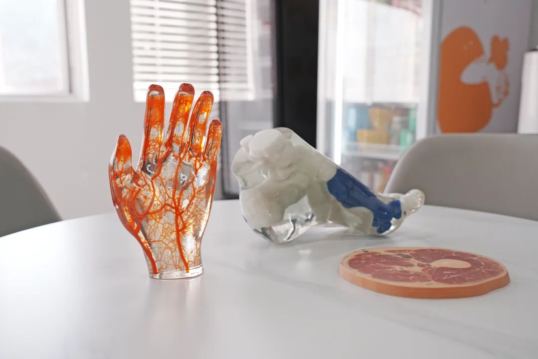 医学3D打印模型