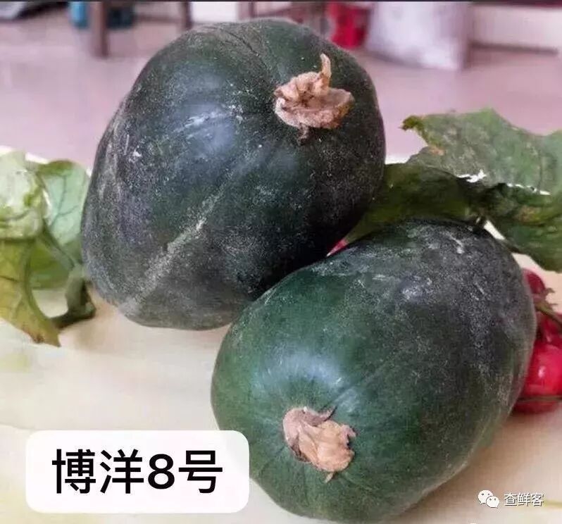 热销甜瓜博洋61的真假辨别