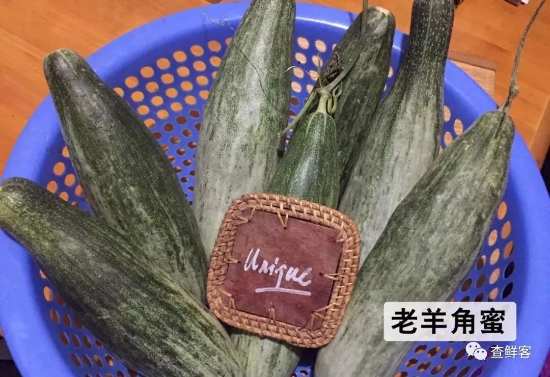 热销甜瓜博洋61的真假辨别