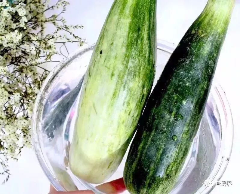 热销甜瓜博洋61的真假辨别