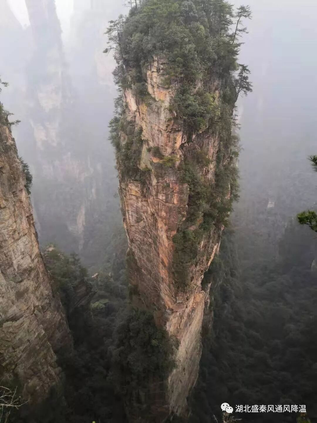 webwxgetmsgimg (20).jpg