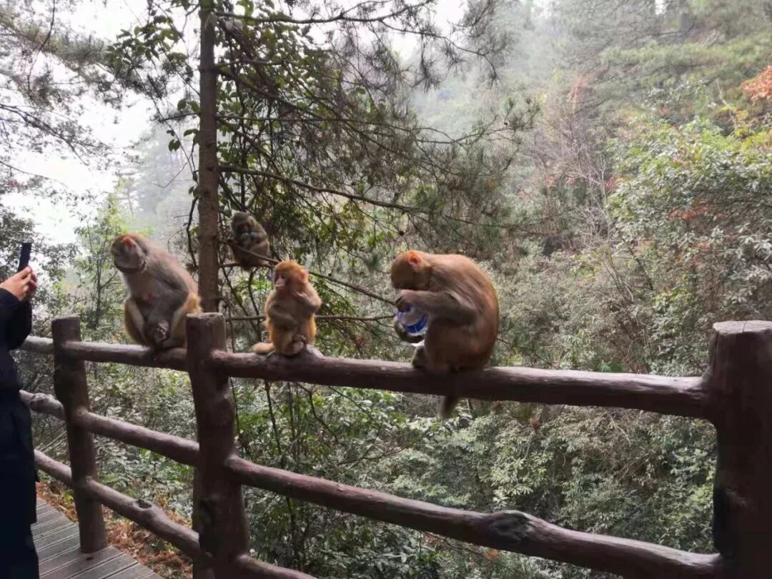 webwxgetmsgimg (37)_看图王.jpg