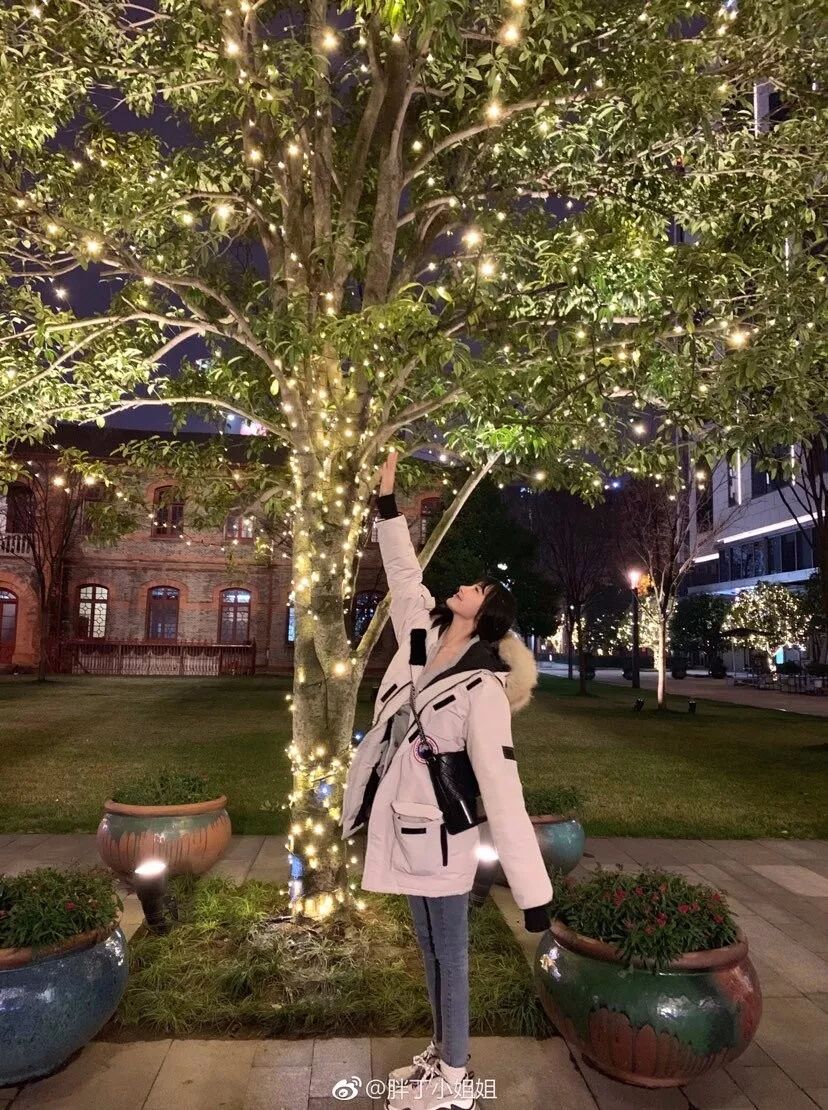 大鹅羽绒服_康熙来了大鹅微博_大鹅鹅笼图片