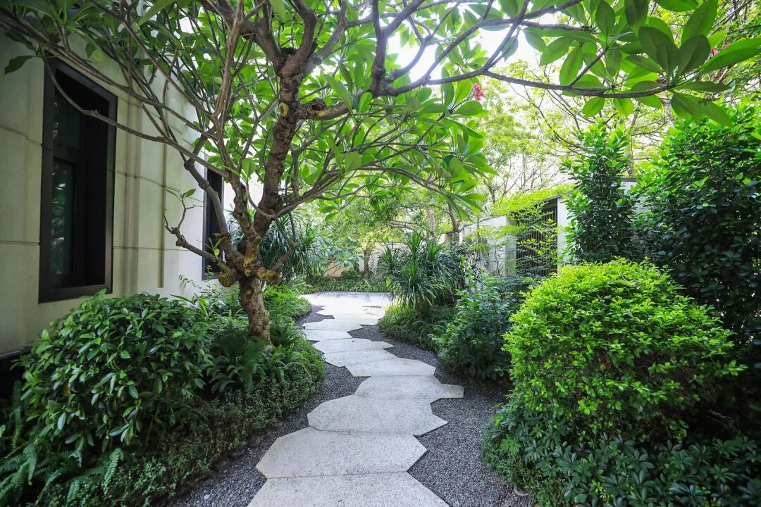 广州豪宅的天花板，选址究竟有多讲究？