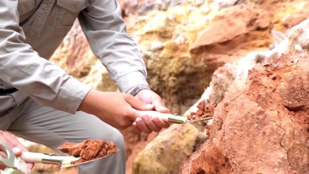 广州豪宅的天花板，选址究竟有多讲究？