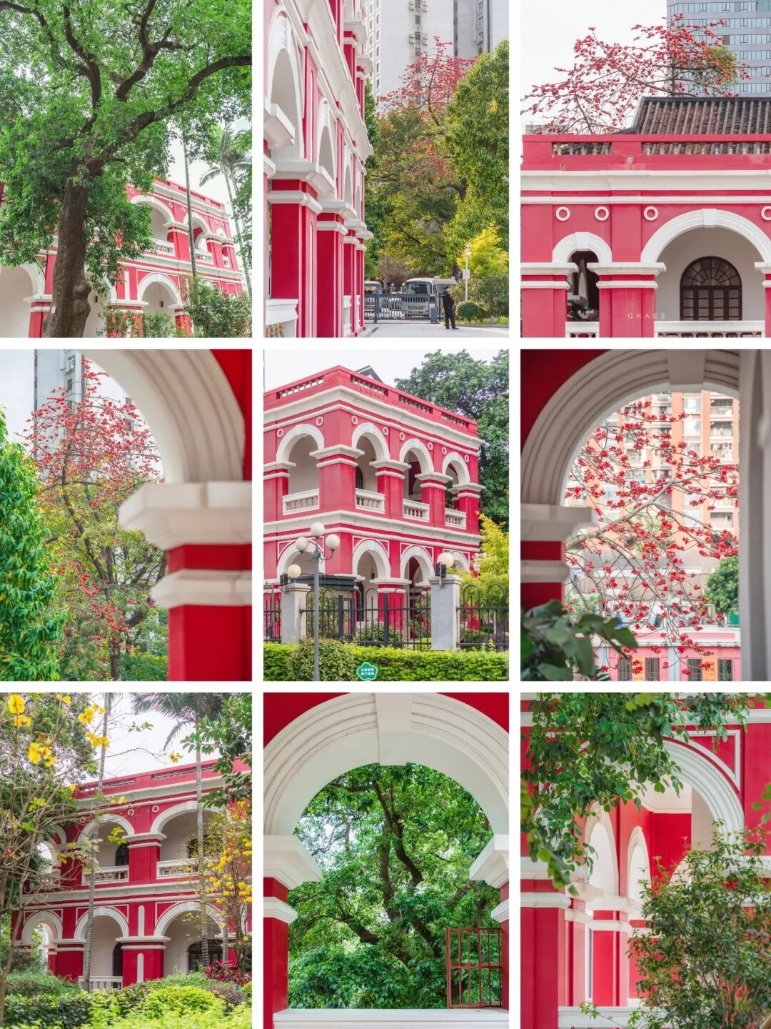 图/Grace的取景器