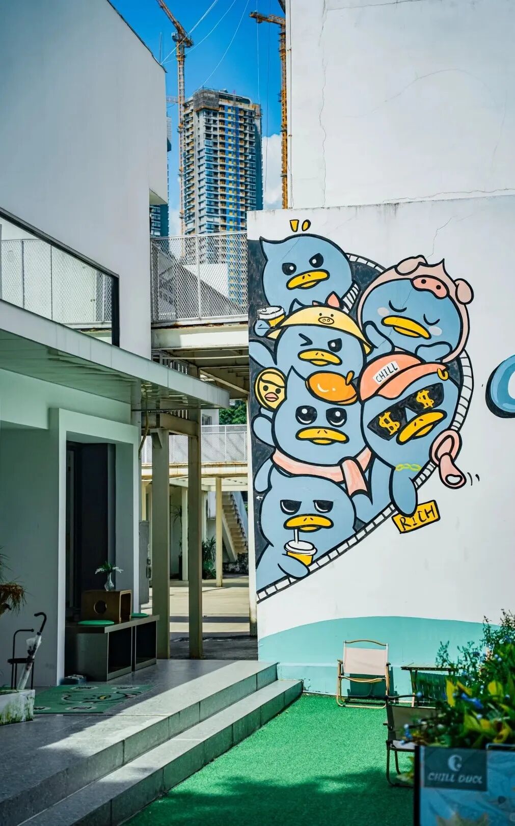 图源|网民小姜、莫老爷也有春天、背着相机去行走