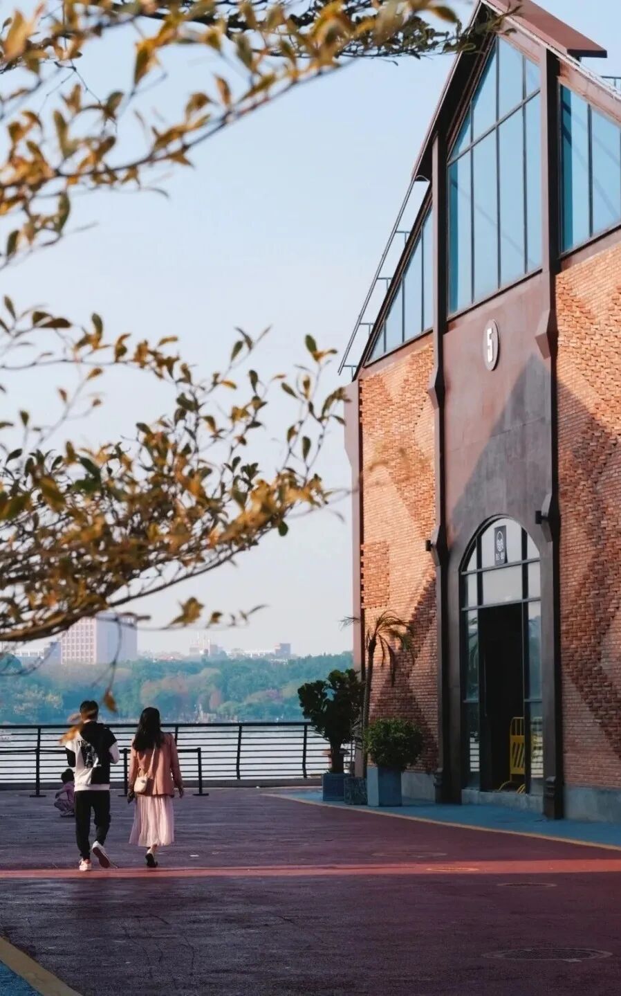 图源|莫老爷也有春天、背着相机去行走