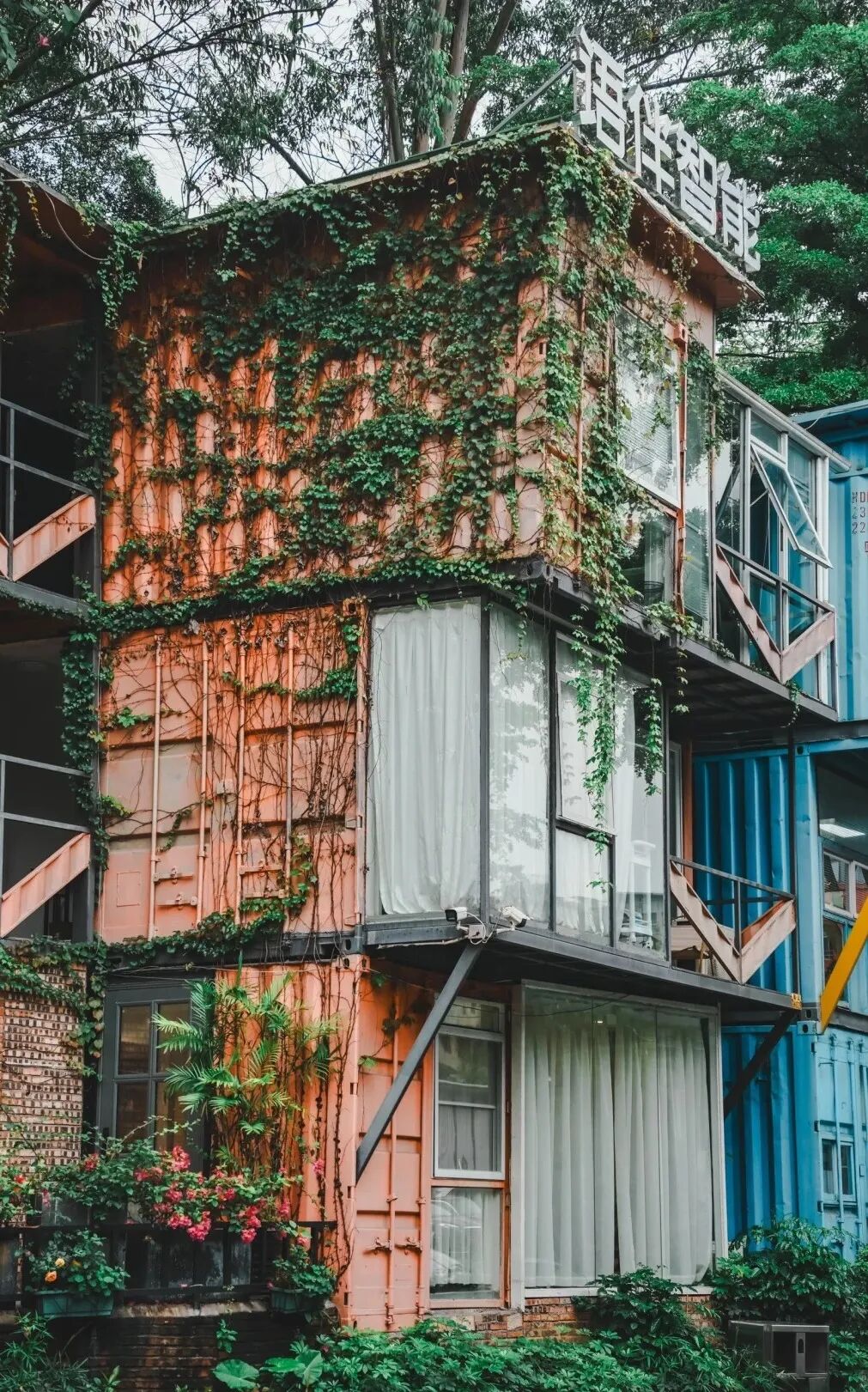 图源|阿欣游广州、背着相机去行走