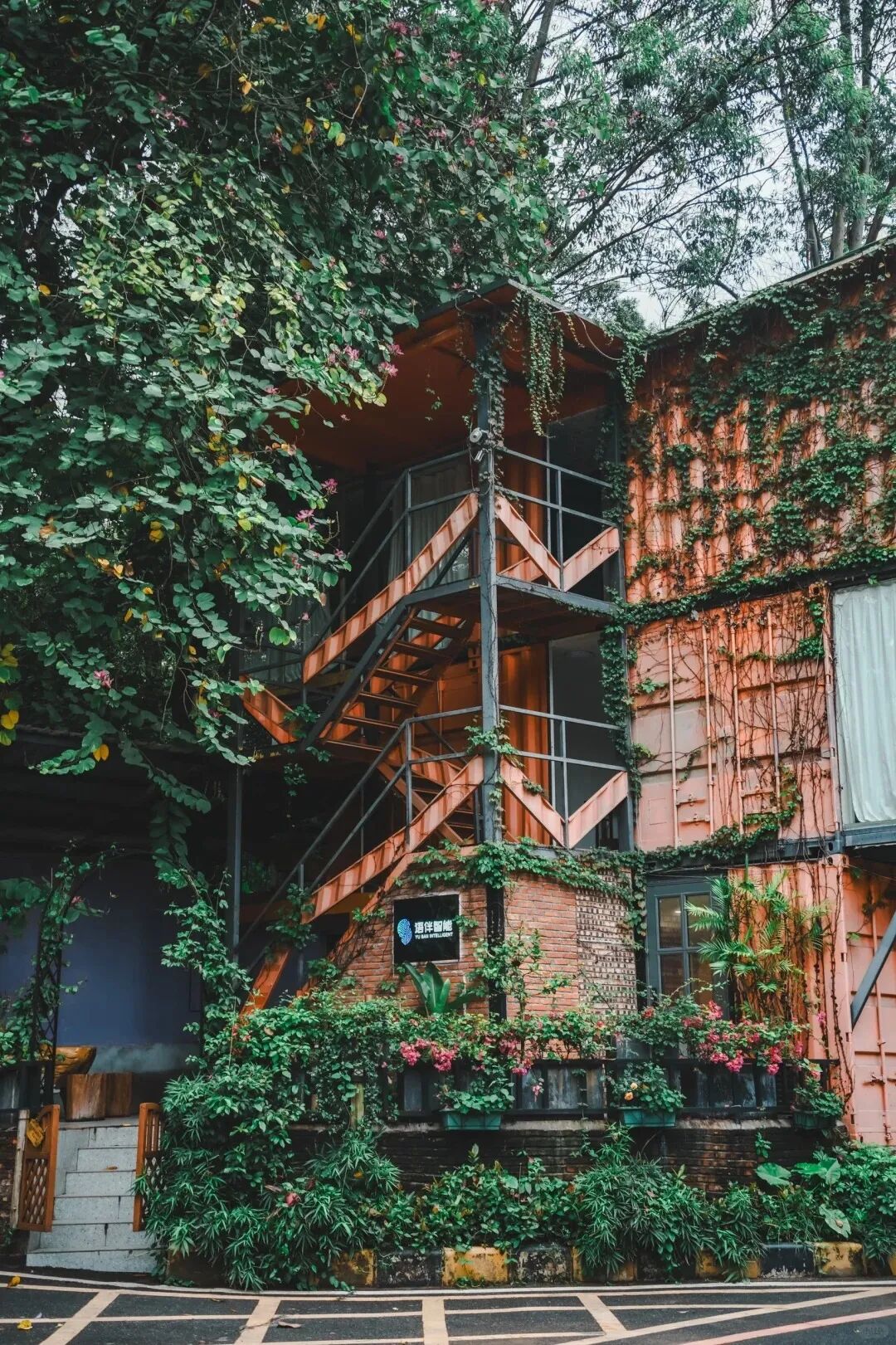 图源|背着相机去行走