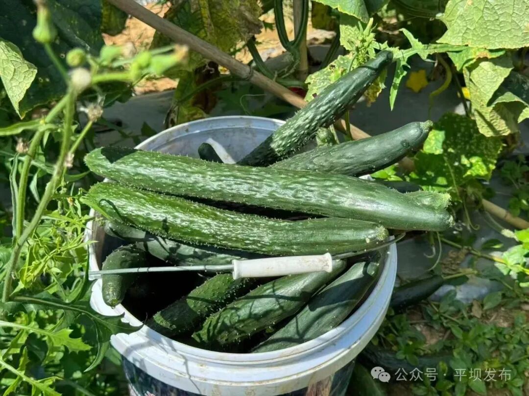 ""