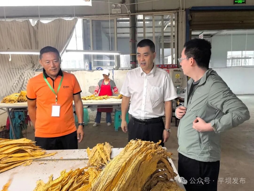 王金源调研农业产业发展情况