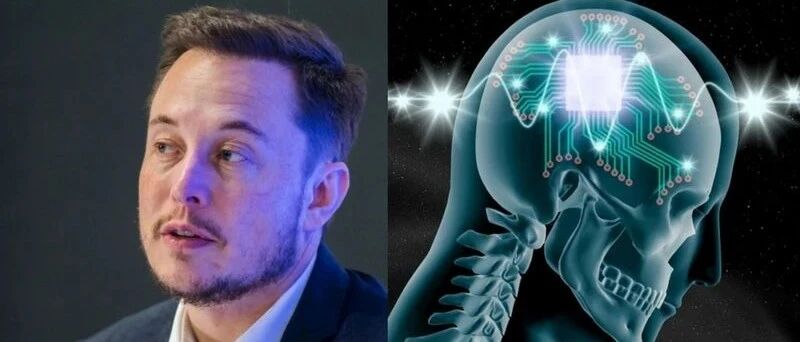 马斯克：人死了可以复活，换个身体或当机器人，和原来差不多
