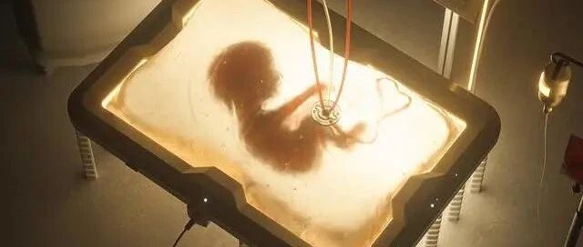 人造子宫就要来了？生不生娃，你的子宫都要作废了！