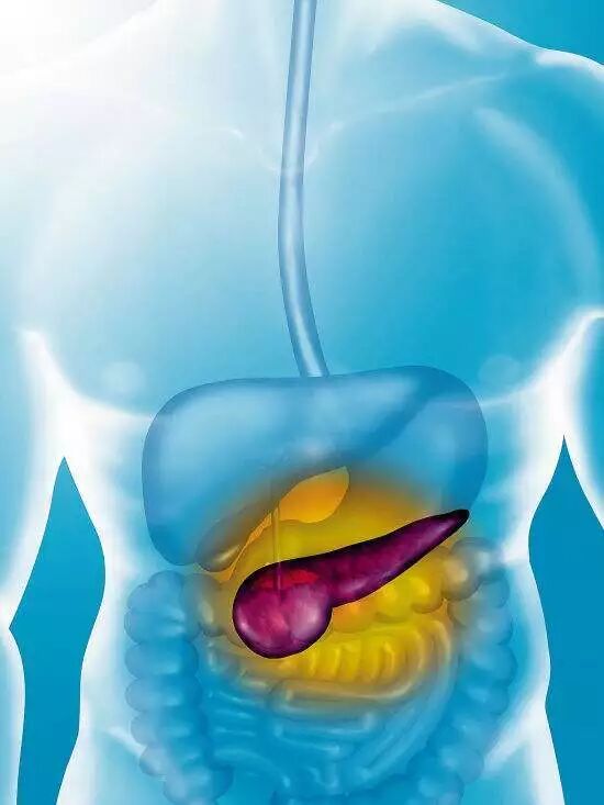 胰腺癌早期症状千万别当成胃病！这些检查可以早期发现胰腺癌！