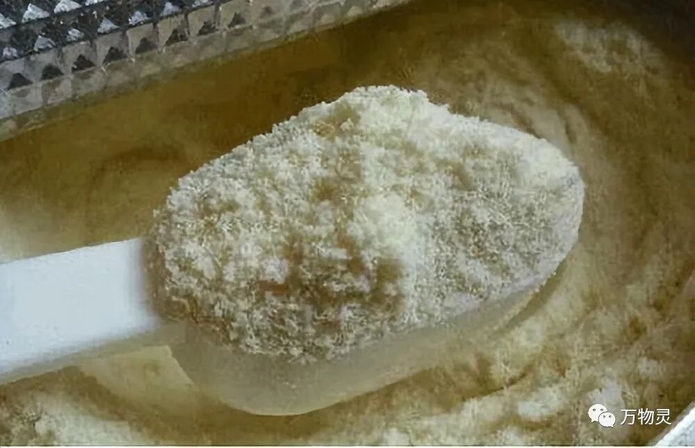 俄罗斯奶粉那么便宜是真的吗_俄罗斯奶粉便宜吗_奶粉俄罗斯便宜是假货吗