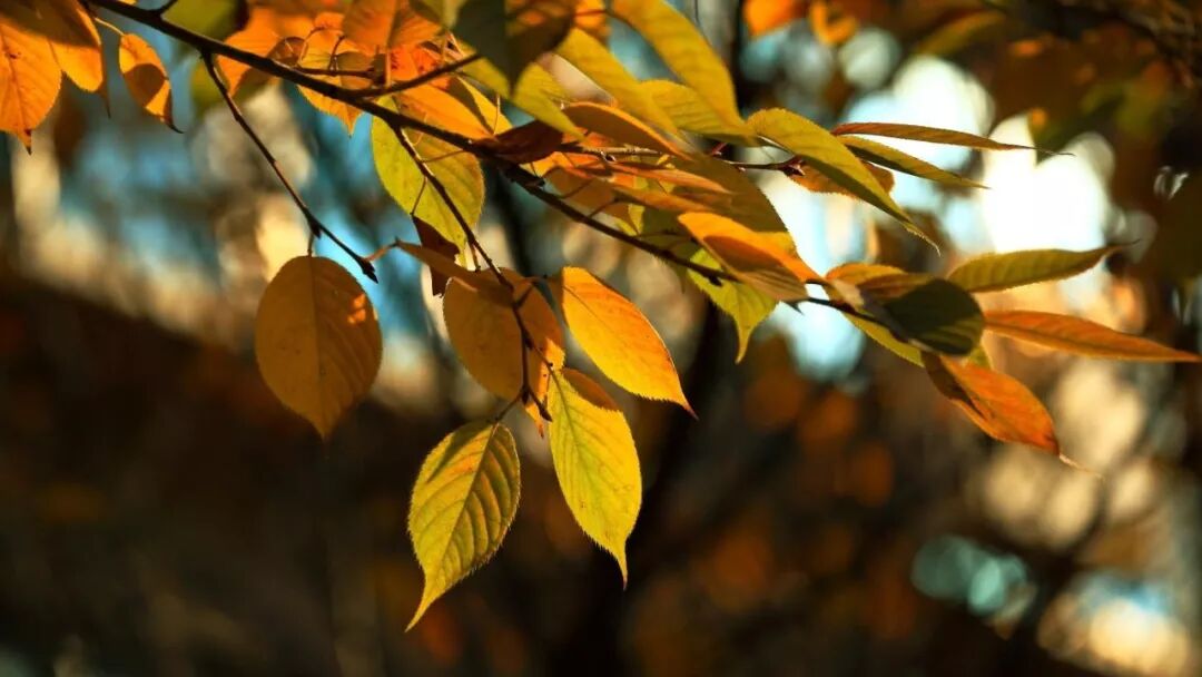 秋季鼻炎很可怕，更可怕的是你相信了那些偏方……