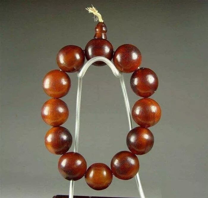 披毛·犀牛角，到底什么来头？