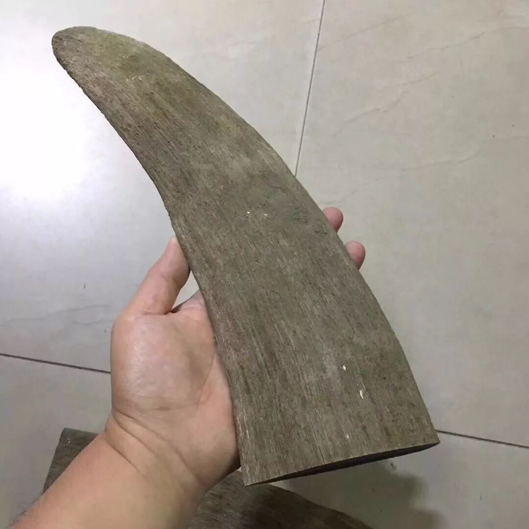 披毛·犀牛角，到底什么来头？